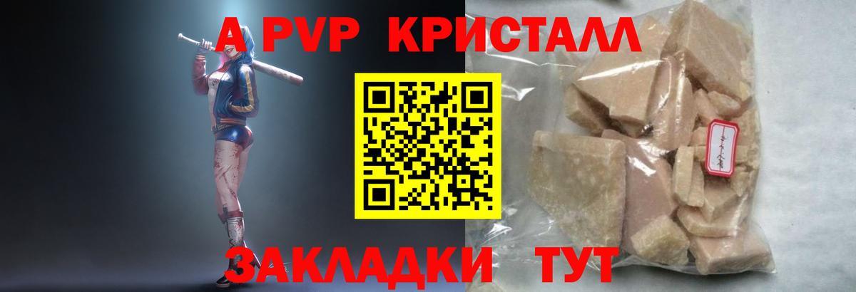 APVP Элиста