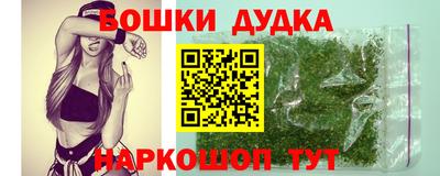 сатива Моздок