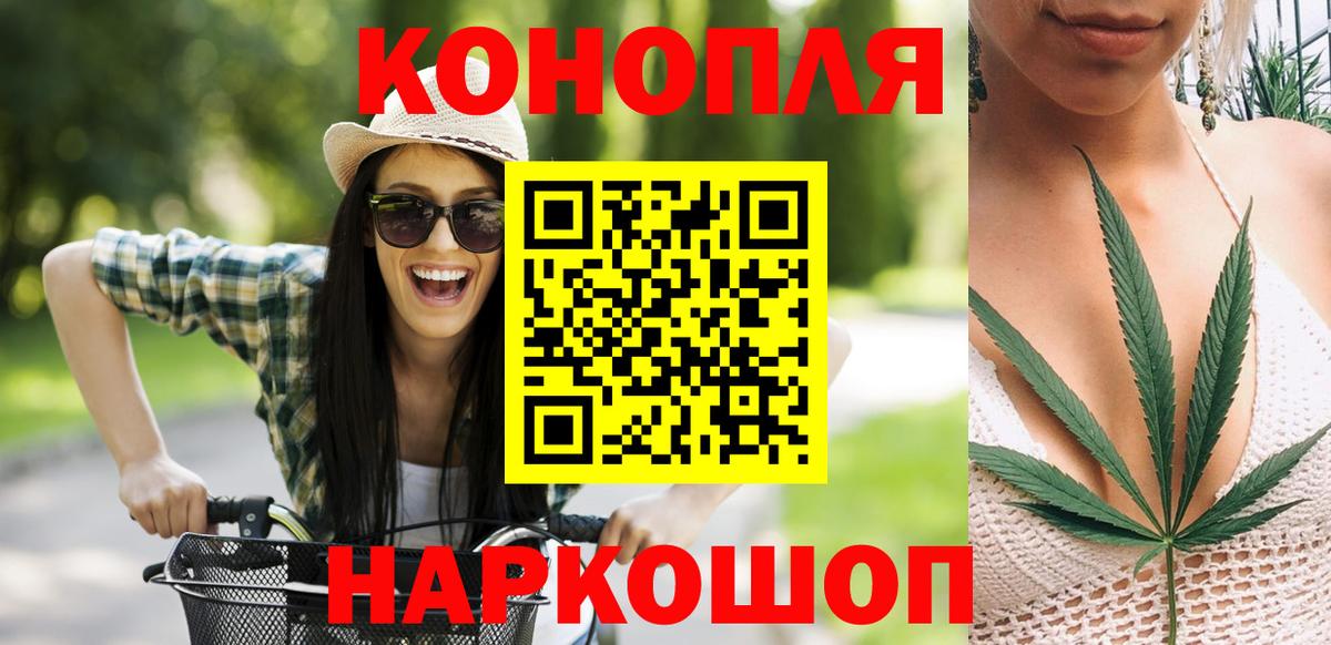 Конопля OG Kush Элиста